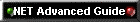 NET Advanced Guide