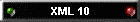 XML 10